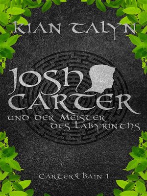 cover image of Josh Carter und der Meister des Labyrinths